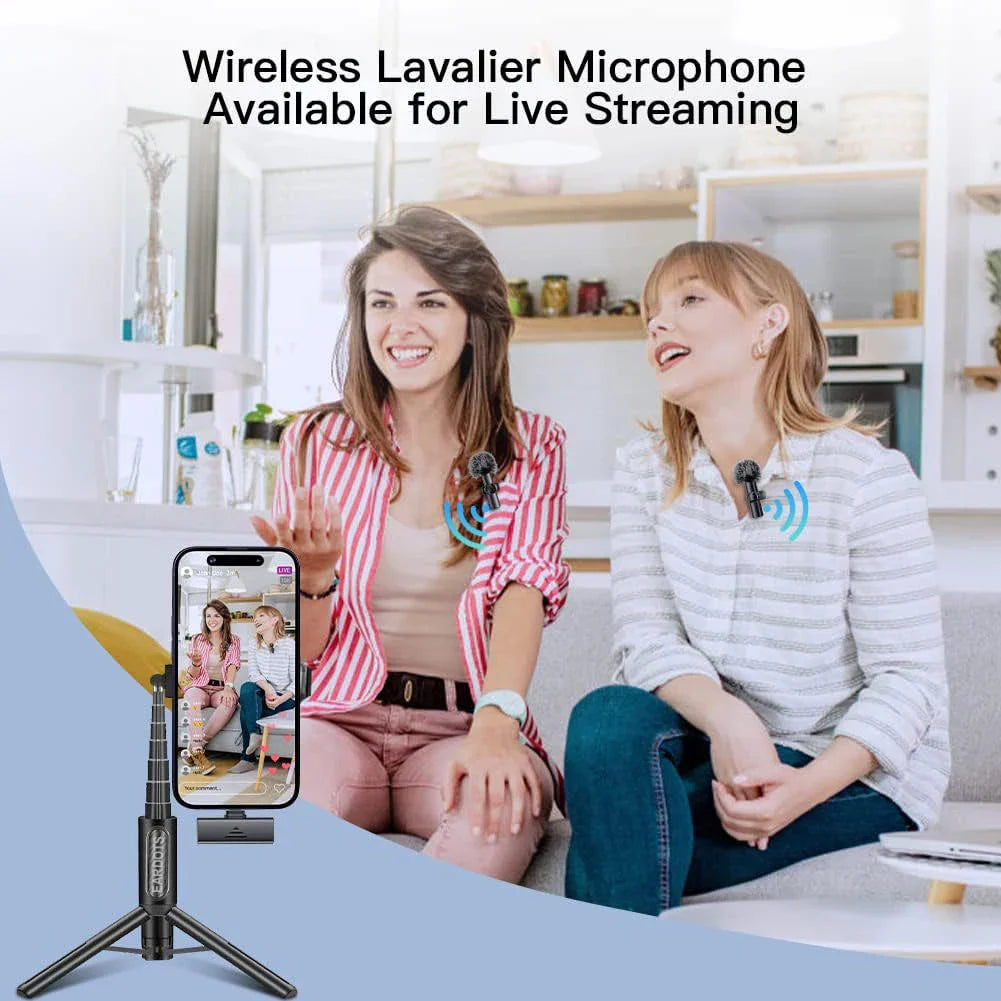 Microphone Portable