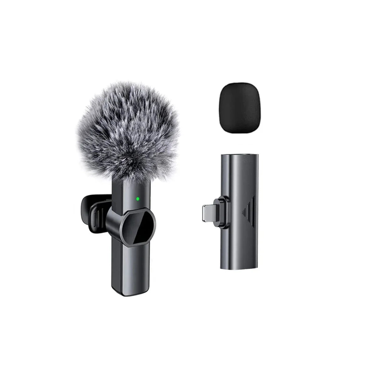 Microphone Portable