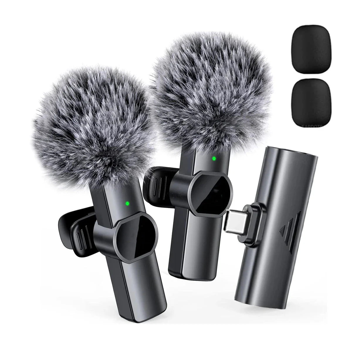 Microphone Portable