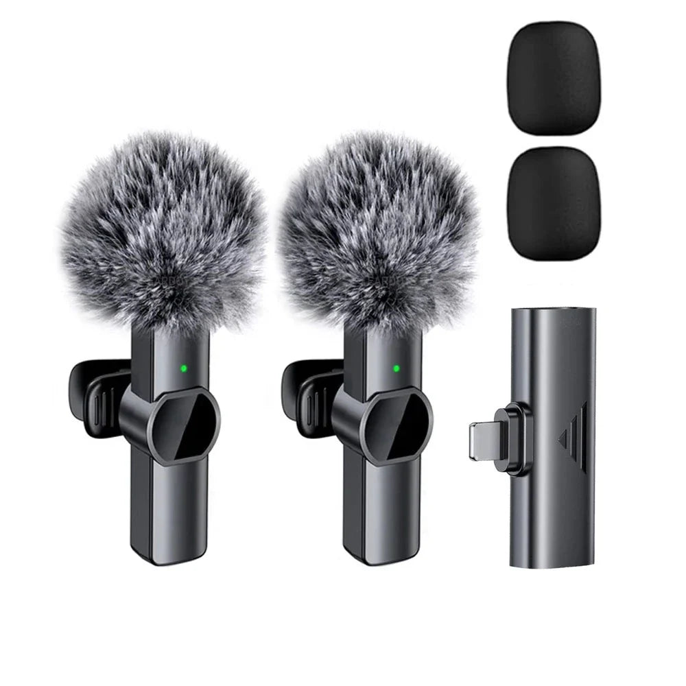 Microphone Portable