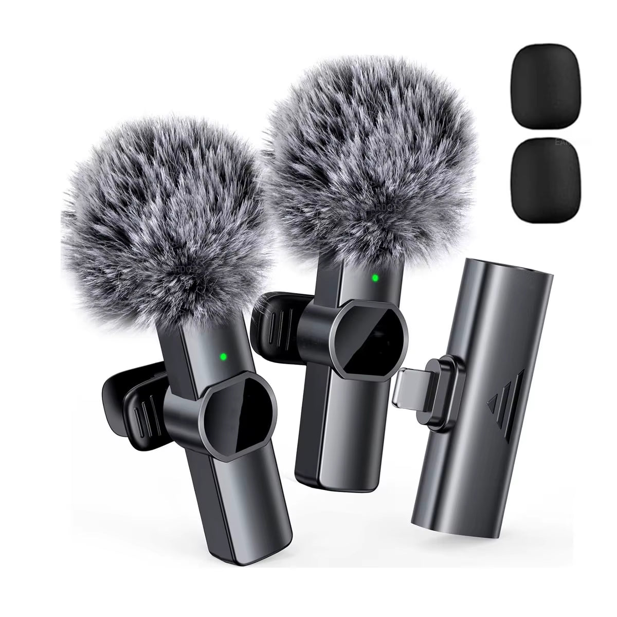 Microphone Portable